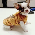 Cute Print Tea Cup Dog Sweater Winter Warm Fleece Pet 3 | PricZone