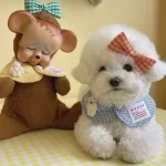 Cute Plaid Rabbit Cape Pet Scarf for Cats and Dogs 3 | PricZone