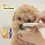 1/2Pc Pet Hair Shedding Comb Stainless Steel Flea for Cat