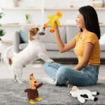 5 Pack Dog Toys Plush Squeaky Assortment Value Bundle 5 | PricZone