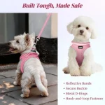 Dog Harness and Leash Set Outdoor Walking Soft Mesh 5 | PricZone