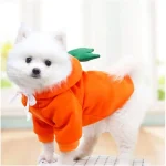 Cute Fruit Dog Hoodies Warm Fleece Small Clothing 5 | PricZone