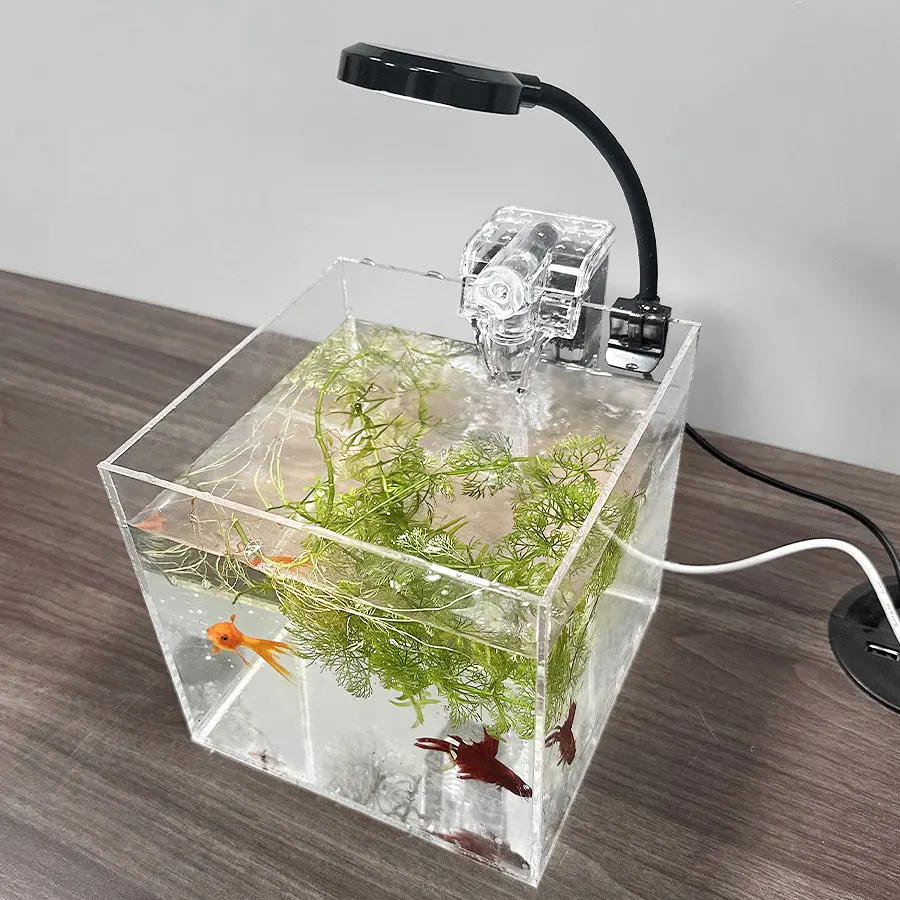 Home Office Desktop Transparent Acrylic Aquarium Water 12
