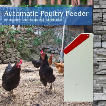 Large Automatic Metal Chicken Feeder Dispenser for Farm 2