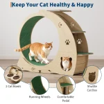 6 In 1 Multifunctional Quiet Cat Exercise Wheel 3 | PricZone
