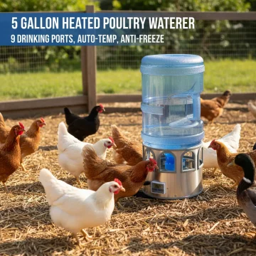 Stainless Steel Heated Chicken Waterer 5 Gal 80W Auto 1 | PricZone