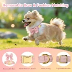 Small Dog Collar Harness and Leash Set for Daily Walks 4 | PricZone Small Dog Collar Harness and Leash Set for Daily Walks 4 | PricZone