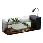 Modern Ultra Clear Glass Fish Tank with Hidden Side Filter 4 | PricZone