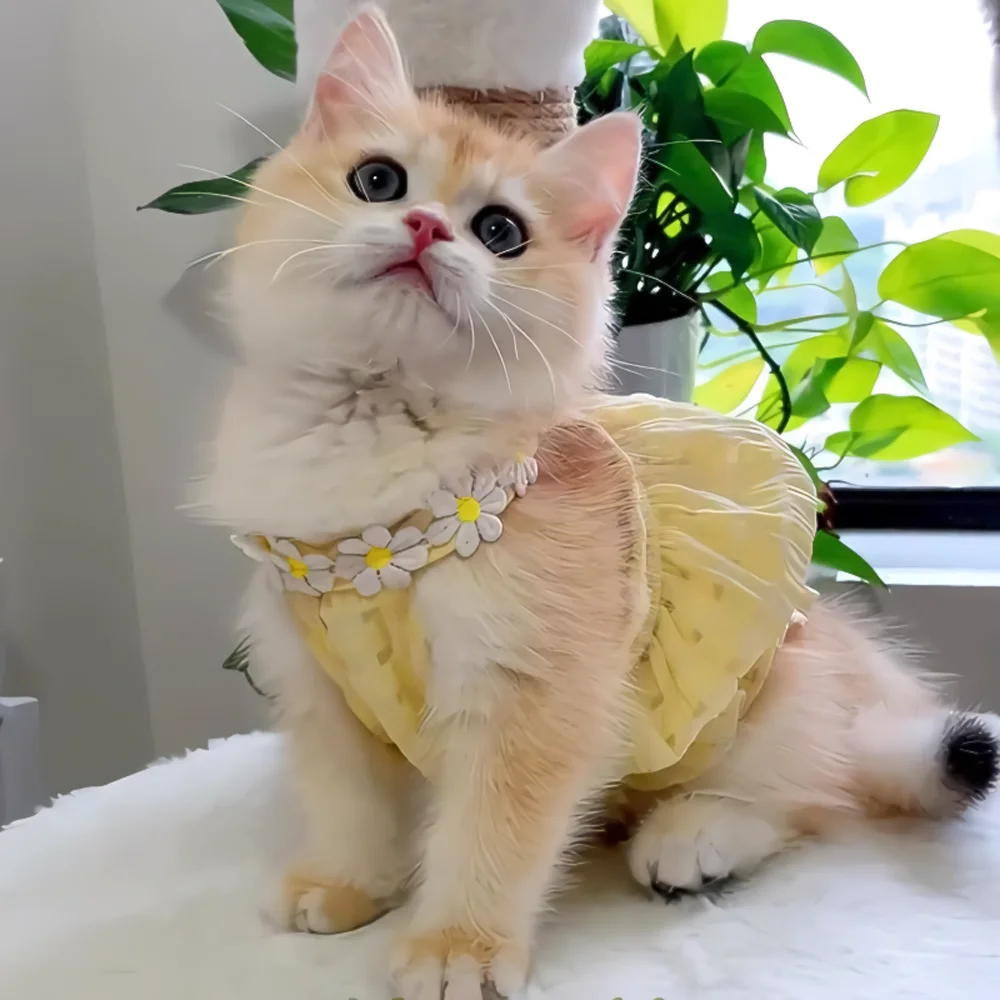 Small Cat Summer Dress Thin Yellow Pet Skirt 5 | PricZone Small Cat Summer Dress Thin Yellow Pet Skirt 5 | PricZone