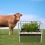Livestock Feed Trough 39.4X25.6X33.5 Inch Hay Water Feeder