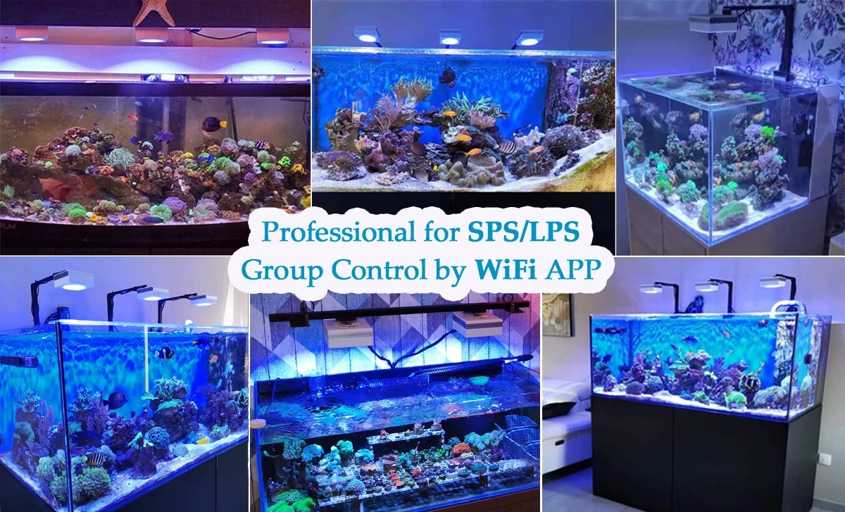 Popbloom-Rl90 WiFi LED Aquarium Light 200W Reef Marine Lamp 7