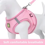 1 Set Pet Chest Back Traction Rope for Four Seasons 6 | PricZone 1 Set Pet Chest Back Traction Rope for Four Seasons 6 | PricZone