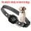 Collar for Dogs Rechargeable Anti-Barking Training