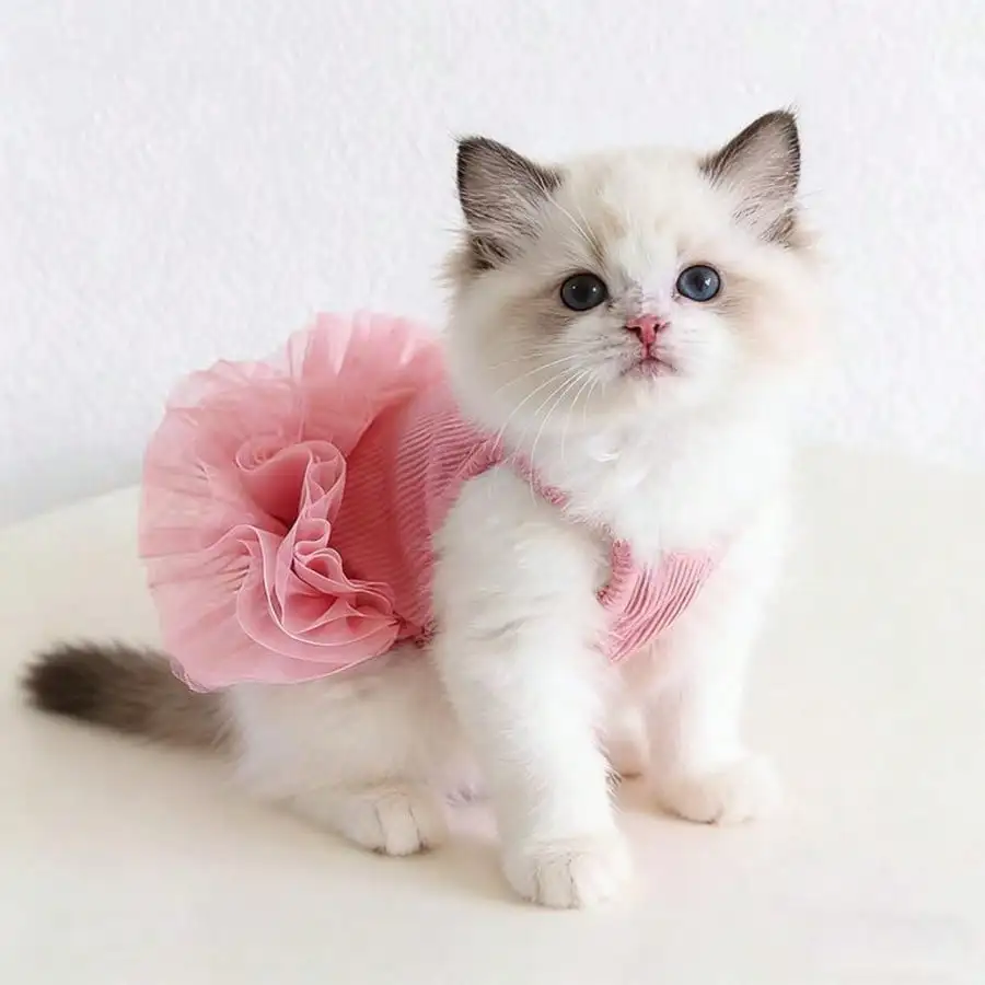Pink Dog Tutu Valentine Day Dress Small Doggy 4 | PricZone Pink Dog Tutu Valentine Day Dress Small Doggy 4 | PricZone