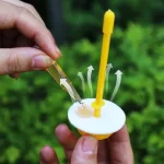 Liquid Fruit Fly Killer Trap Drosophila Attractant Wasp 5 | PricZone