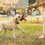5 Pack Dog Toys Plush Squeaky Assortment Value Bundle 4 | PricZone