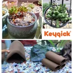 3 Pounds Of Multicolored Succulent Landscape Stones 8 | PricZone 3 Pounds Of Multicolored Succulent Landscape Stones 8 | PricZone
