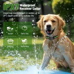 24Ghz Wireless Dog Fence with Waterproof Rechargeable 5 | PricZone