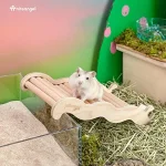 Hamster Climbing Ladder Bridge 26 Inch Expandable Habitat 3 | PricZone