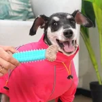 Dog Toy for Self Amusement and Relaxation TPR Imitation 5 | PricZone