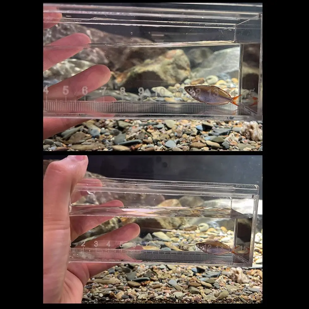 Transparent Fish Viewing Box Rectangle Desktop Goldfish 11