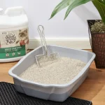 4 Pack Special Kitty Clumping Clay Cat Litter Fresh Scent 3 | PricZone