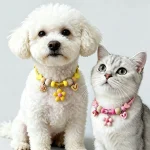 Natural CamphorWood Pet Repellent Collar Multicolor Beaded 1 | PricZone