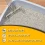 Non-Clumping Clay Cat Litter Fresh Scent 25 Lb Bag 1 Count
