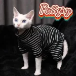 Tricolor Hairless Cat Warm Four Legged Sphinx Clothes 2 | PricZone