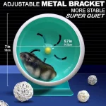 Silent Hamster Wheel for Small Pet Exercise 3 | PricZone