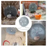 Silent Hamster Wheel for Small Animals ABS Plastic 6 | PricZone