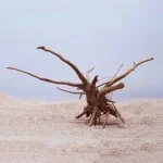 Natural Tree Trunk Driftwood Aquarium Fish Tank Reptile 3 | PricZone Natural Tree Trunk Driftwood Aquarium Fish Tank Reptile 3 | PricZone