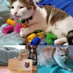 4Pc Kitten Cat Toy with Wide Durable Heavy Gauge Spring 6 | PricZone