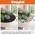 3 Pounds Of Multicolored Succulent Landscape Stones 6 | PricZone 3 Pounds Of Multicolored Succulent Landscape Stones 6 | PricZone