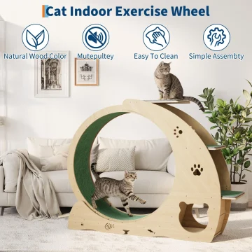 6 In 1 Multifunctional Quiet Cat Exercise Wheel 1 | PricZone