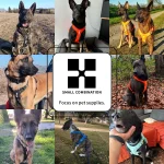 Small Combination Pet Harness No Pull Nylon Reflective Dog 6 | PricZone
