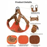 Lead Leash Set for SmallMedium Cat Vest Chest Strap Puppy 3 | PricZone