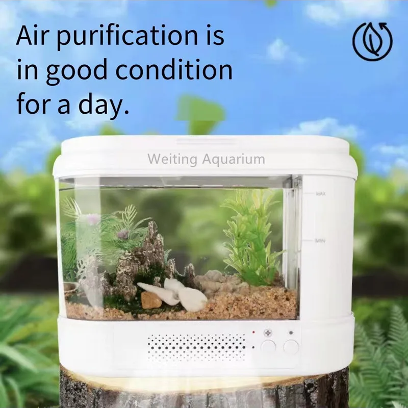 Fish Tank Living Room Small Desktop Ecological Aquarium 24