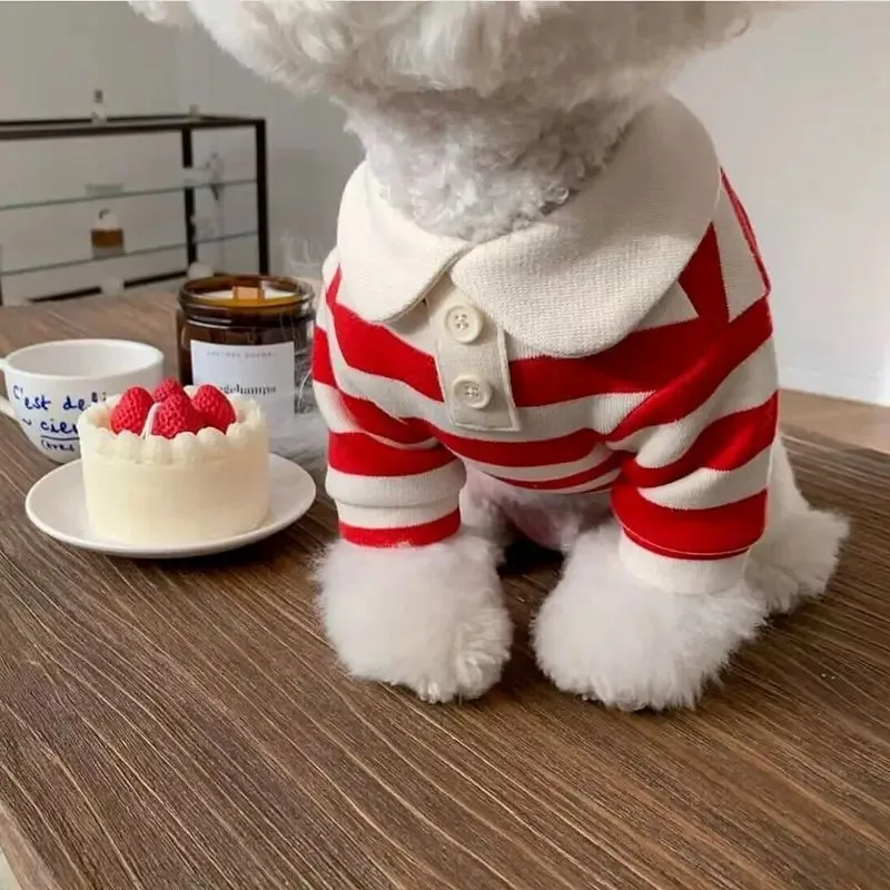 Summer Polo Shirt for Small Medium Dogs Bichon Frise 2 | PricZone Summer Polo Shirt for Small Medium Dogs Bichon Frise 2 | PricZone