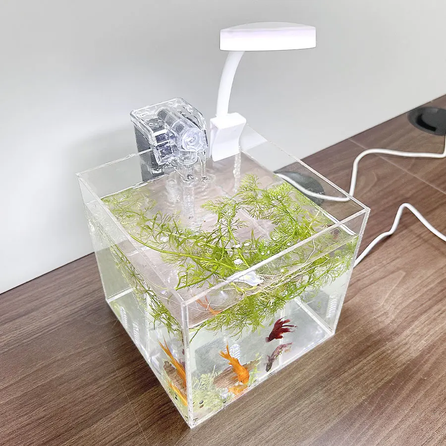 Home Office Desktop Transparent Acrylic Aquarium Water 7