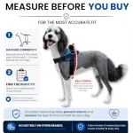 Essential Dog Harness No Pull Pet Vest with 3 Leash Clips 6 | PricZone