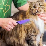 Flea Comb with Rubber Handle and Tick Combs for Dogs 6 | PricZone