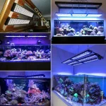 Popbloom Reef Timer Control LED Aquarium Light Full 4 | PricZone Popbloom Reef Timer Control LED Aquarium Light Full 4 | PricZone