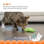 Crunchy Pickle Kicker Cat Toy Plush Crinkle with Catnip 3 | PricZone