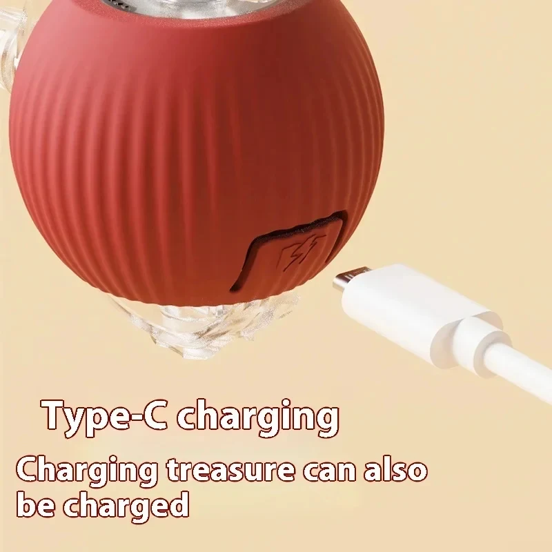 Rechargeable Automatic Rolling Cat Toy with Fake Tail 4 | PricZone Rechargeable Automatic Rolling Cat Toy with Fake Tail 4 | PricZone
