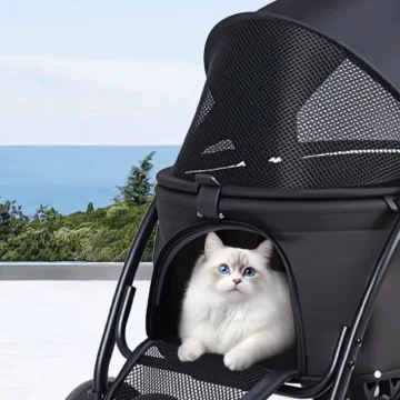Foldable Pet Stroller for Small Medium Dogs Cats 2 In 1 1 | PricZone