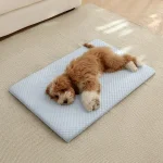 1Pc Sponge Cooling Cat Bed Thick Padding Comfortable Cool 6 | PricZone 1Pc Sponge Cooling Cat Bed Thick Padding Comfortable Cool 6 | PricZone