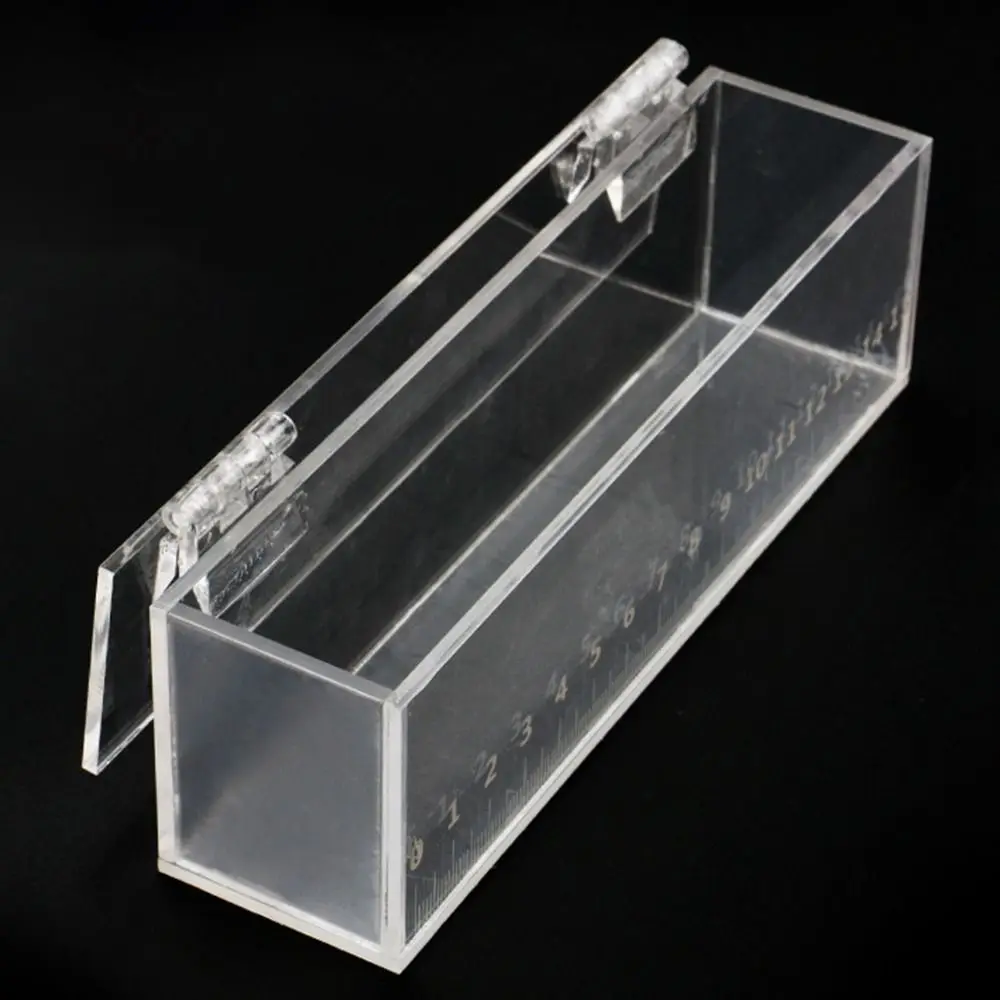 Transparent Fish Viewing Box Rectangle Desktop Goldfish 15