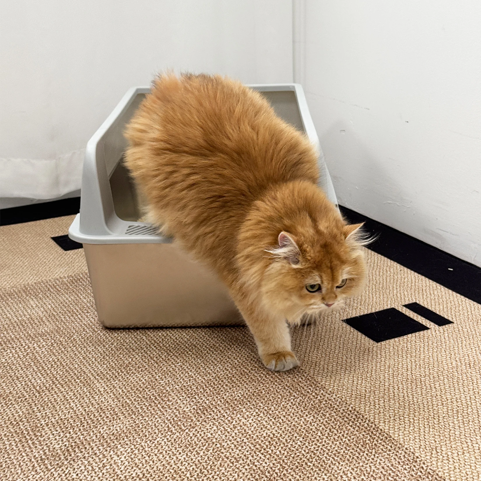 Stainless Steel Cat Litter Box Semi-Open High-Sided Pan 18