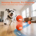 Remote Control Dog Toy Ball with Multiple Modes 3 | PricZone
